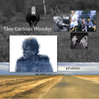 The Curious Wonder - CD