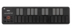 Korg nanoKEY2 Slim-Line USB Keyboard, Black