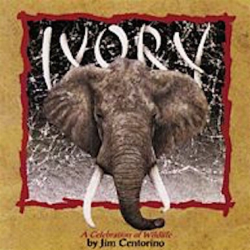 Ivory-A Celebration Of Wildlife