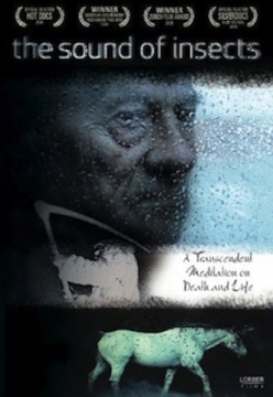 The Sound of Insects - DVD