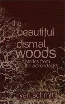 The Beautiful Dismal Woods: Short Stories from the Adirondacks - Softcover