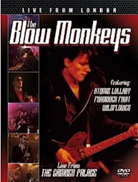The Blow Monkeys: Live from the Camden Palace - DVD