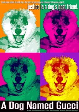 A Dog Named Gucci - DVD