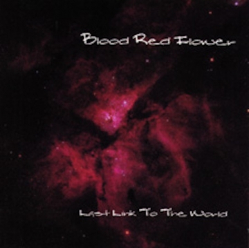 Last Link To the World - CD